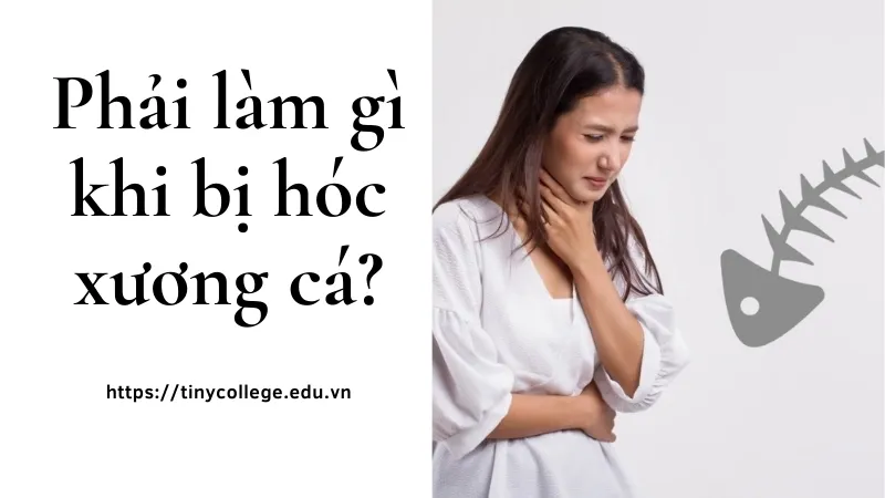 Bị hóc xương cá phải làm như thế nào? Cách xử lý nhanh chóng 1