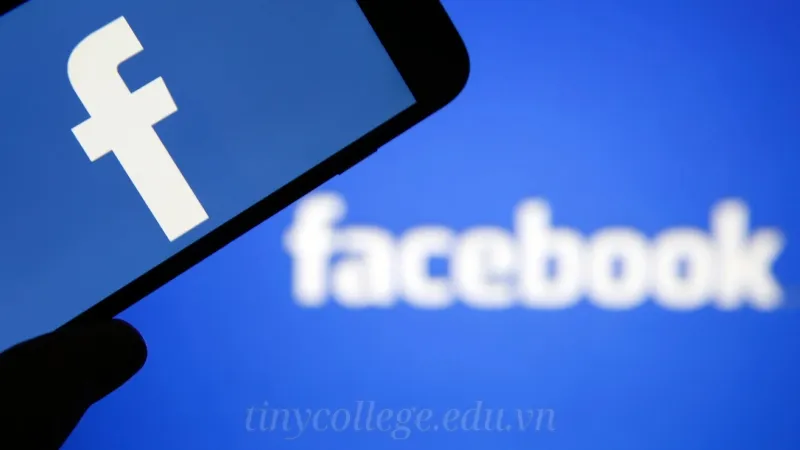 Hướng dẫn chi tiết cách bật theo dõi trên Facebook 13