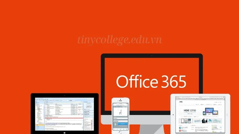 Cài Office 365 miễn phí - Lợi ích và các tùy chọn có sẵn 3