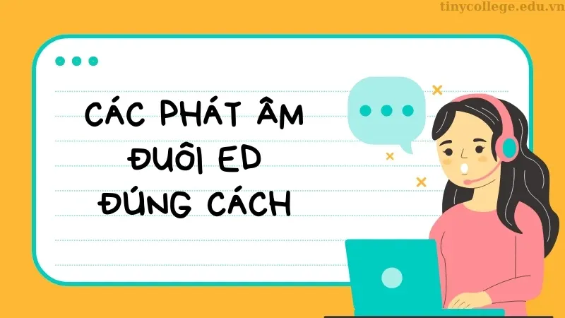 Quy tắc ED 03