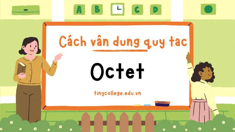 Quy tắc Octet 03