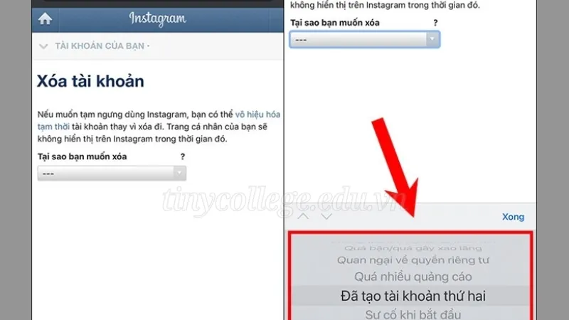 Hướng dẫn chi tiết cách xóa tài khoản Instagram vĩnh viễn 3