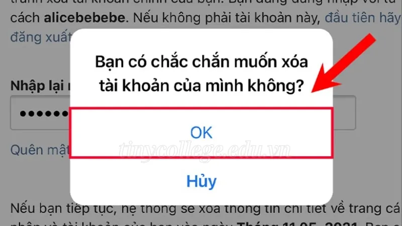 Hướng dẫn chi tiết cách xóa tài khoản Instagram vĩnh viễn 5