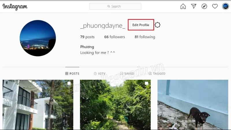 Hướng dẫn chi tiết cách xóa tài khoản Instagram vĩnh viễn 14