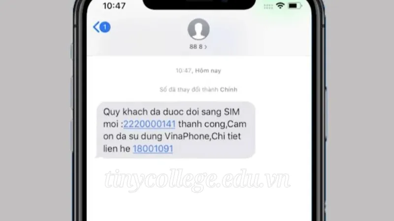 Làm thế nào để cài eSIM trên iPhone? Hướng dẫn từng bước 6