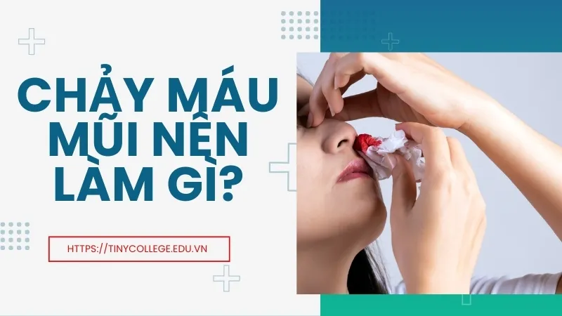 Chảy máu mũi nên làm gì? Hướng dẫn cách xử lý tại nhà 1