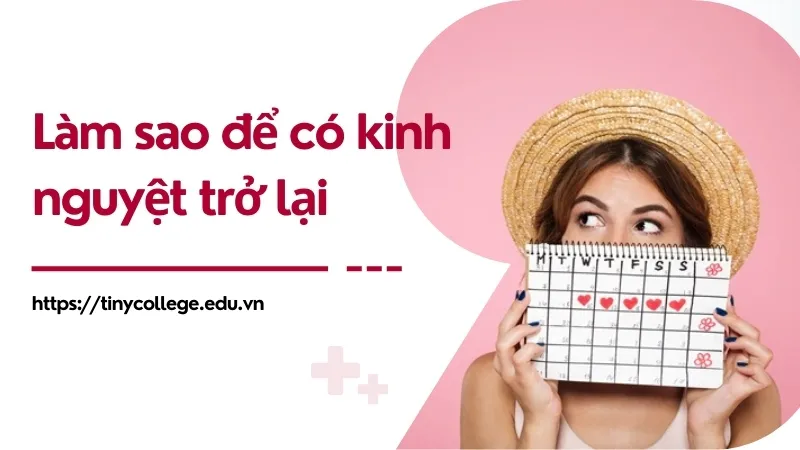 Làm sao để có kinh nguyệt trở lại? Các phương pháp hiệu quả 1