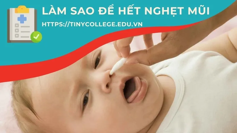 Làm sao để hết nghẹt mũi? Các mẹo đơn giản tại nhà 1