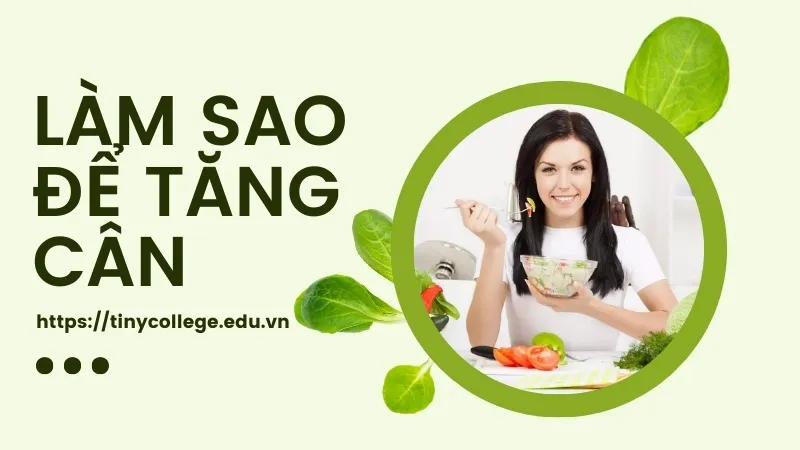 Làm sao để tăng cân an toàn? Bí quyết dành cho người gầy 1