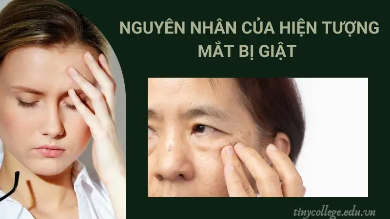 mắt giật bên trái nữ có điềm gì 2