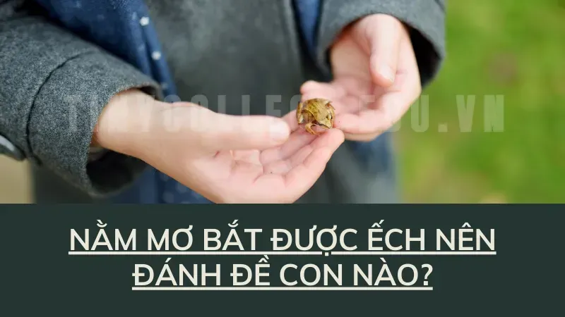 nằm mơ bắt được ếch 6