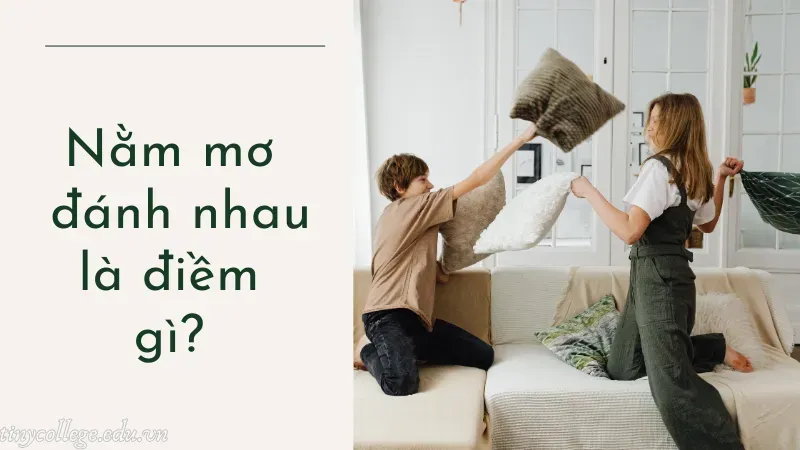 nằm mơ đánh nhau 1