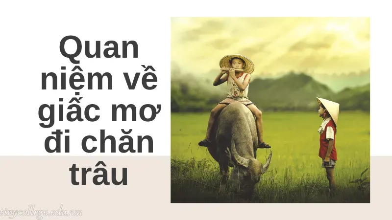 nằm mơ đi chăn trâu đánh đề con gì 1