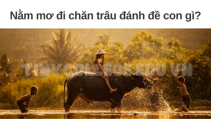 nằm mơ đi chăn trâu đánh đề con gì 7