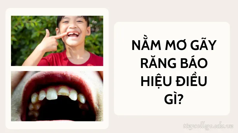 nằm mơ gãy răng báo hiệu điều gì 5