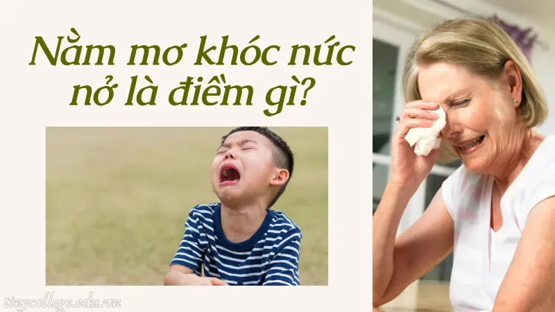 nằm mơ khóc nức nở 1