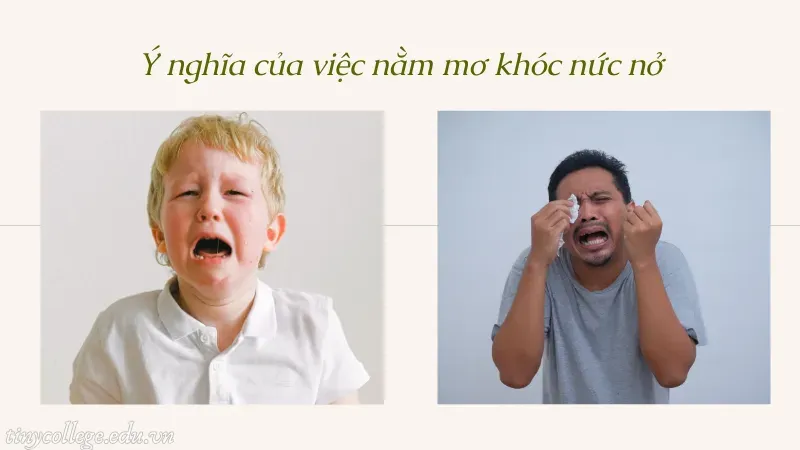 nằm mơ khóc nức nở 2