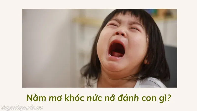 nằm mơ khóc nức nở 5