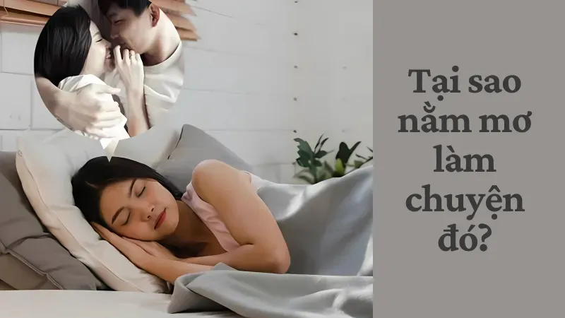 nằm mơ làm chuyện đó 1