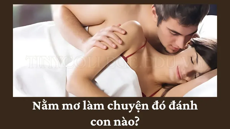 nằm mơ làm chuyện đó 6