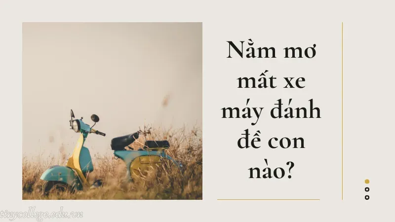 nằm mơ mất xe máy 7