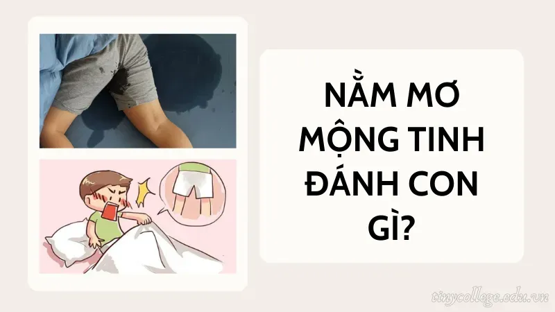 nằm mơ mộng tinh đánh con gì 1