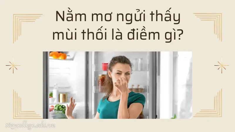 nằm mơ ngửi thấy mùi thối 1