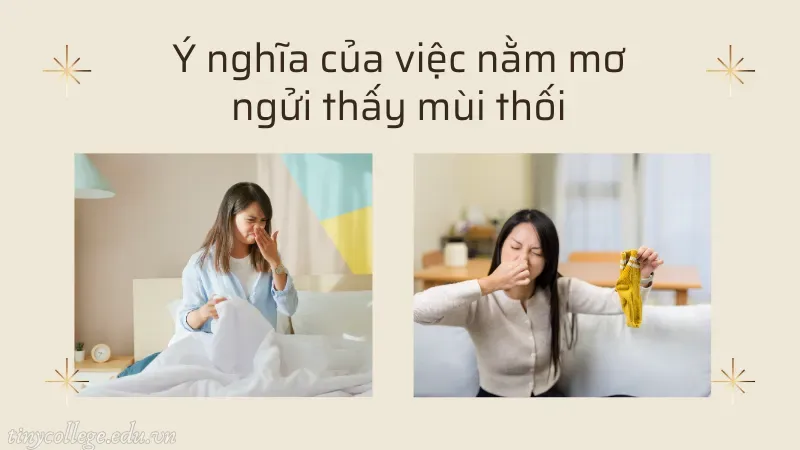 nằm mơ ngửi thấy mùi thối 2