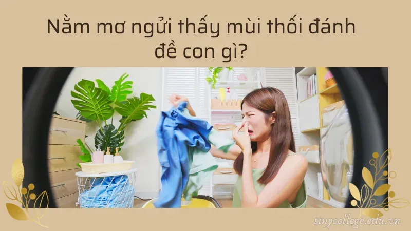 nằm mơ ngửi thấy mùi thối 6