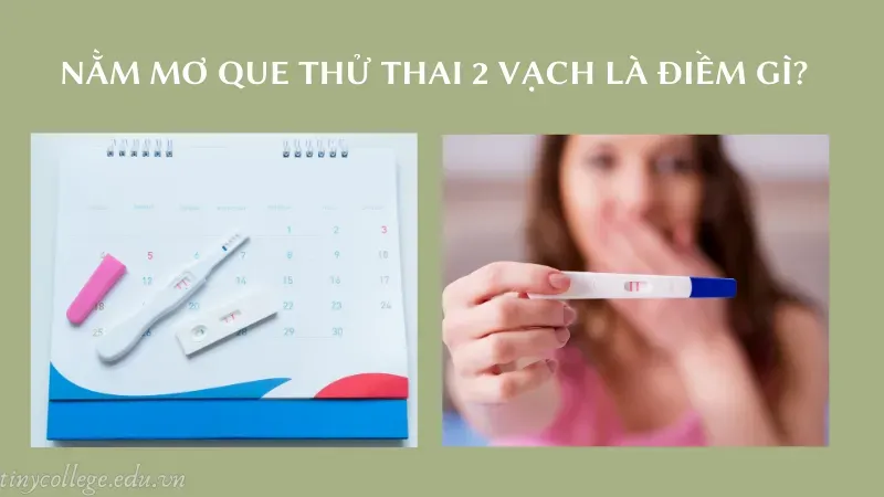 nằm mơ que thử thai 2 vạch 1