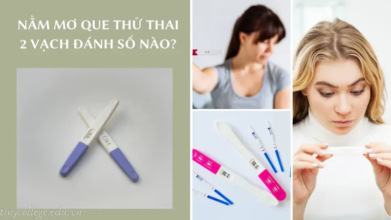 nằm mơ que thử thai 2 vạch 6