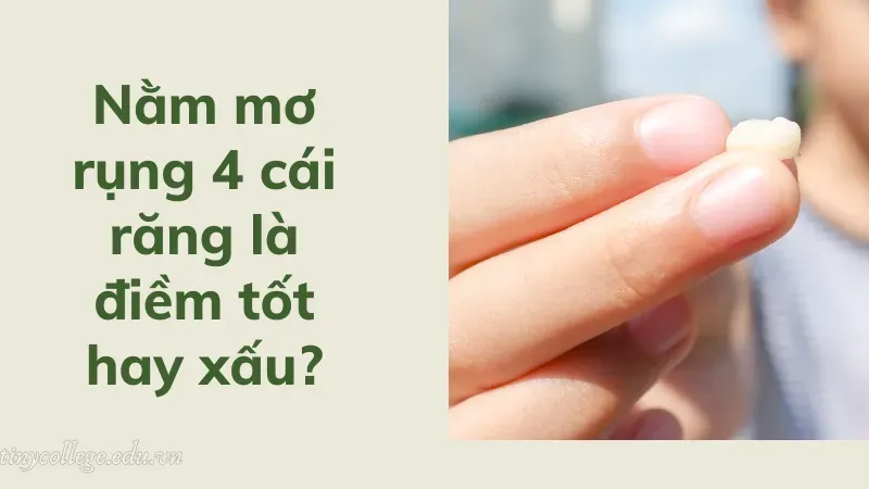 nằm mơ rụng 4 cái răng 1