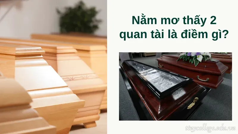 nằm mơ thấy 2 quan tài đánh số gì 1