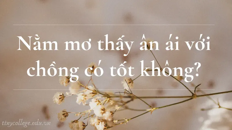 nằm mơ thấy ân ái với chồng 1