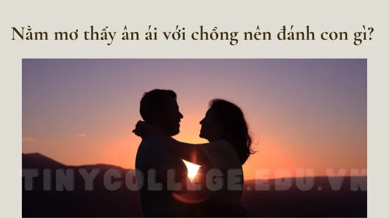 nằm mơ thấy ân ái với chồng 3