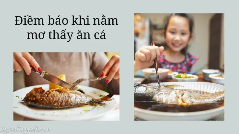 nằm mơ thấy ăn cá 1