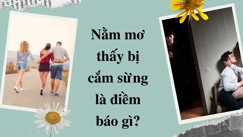 nằm mơ thấy bị cắm sừng 4