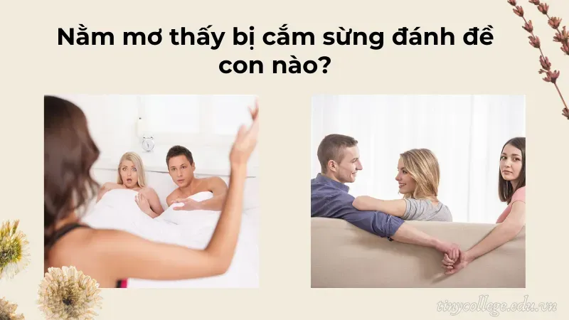 nằm mơ thấy bị cắm sừng 6