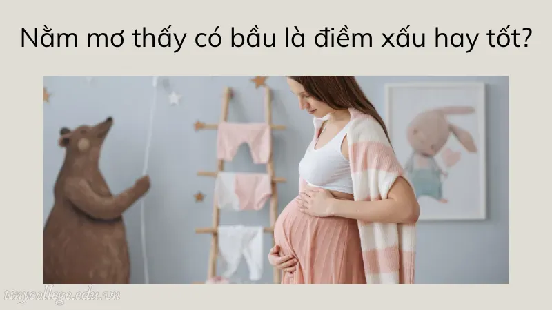 nằm mơ thấy có bầu 1