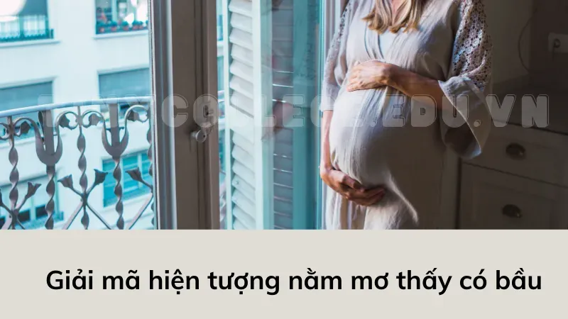 nằm mơ thấy có bầu 2