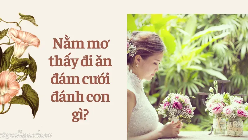 nằm mơ thấy đi ăn đám cưới 6