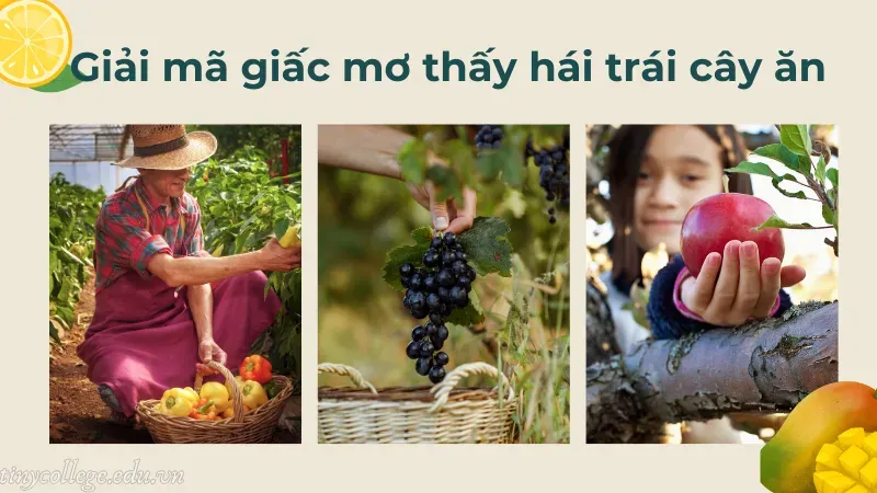 nằm mơ thấy hái trái cây ăn 3