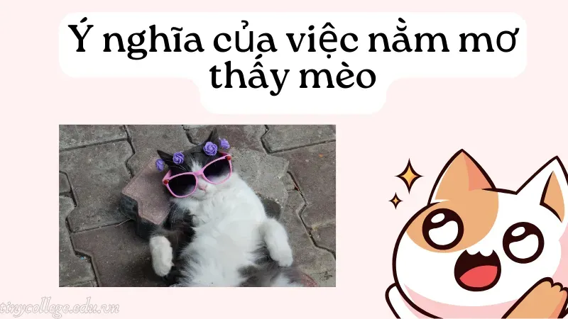 nằm mơ thấy mèo 1