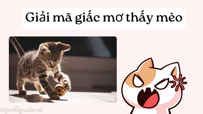 nằm mơ thấy mèo 2