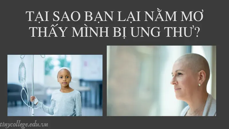 nằm mơ thấy mình bị bệnh ung thư 1