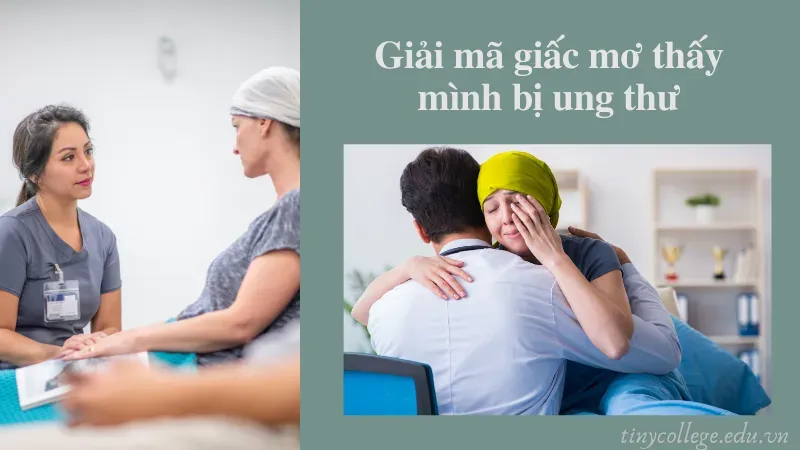 nằm mơ thấy mình bị bệnh ung thư 2