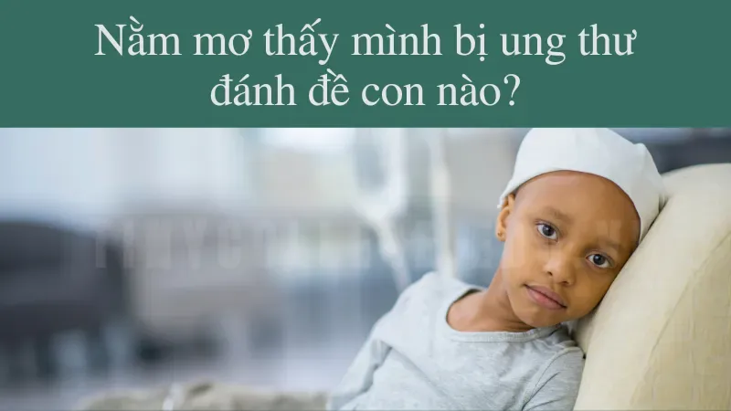 nằm mơ thấy mình bị bệnh ung thư 6