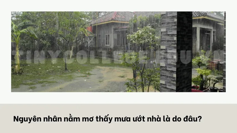 nằm mơ thấy mưa ướt nhà 1