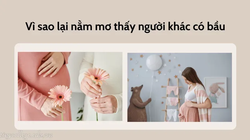 nằm mơ thấy người khác có bầu 1