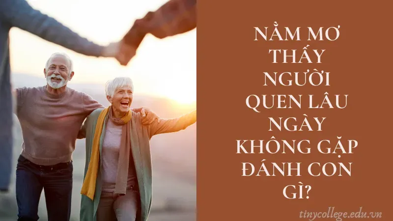 nằm mơ thấy người quen lâu ngày không gặp 6